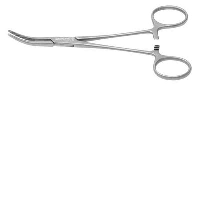 Curved 6 Inch Artery Forceps