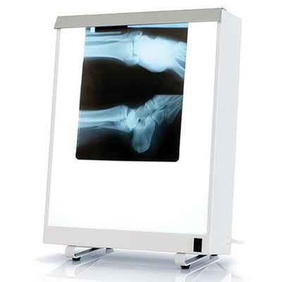 X-Ray Viewer