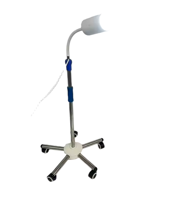 Examination Light