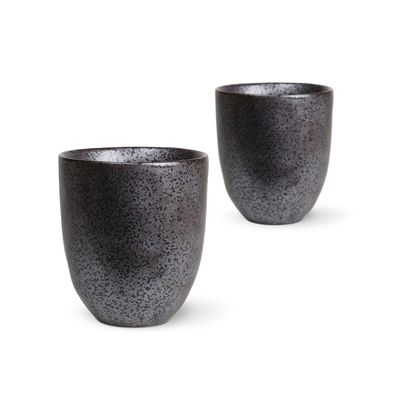 Latte 2 Pack - Black Earth