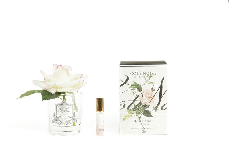 PERFUMED SINGLE ROSE  PINK BLUSH