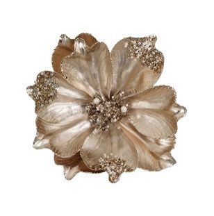 CLIP ON METALLIC MAGNOLIA CHAMPAGNE