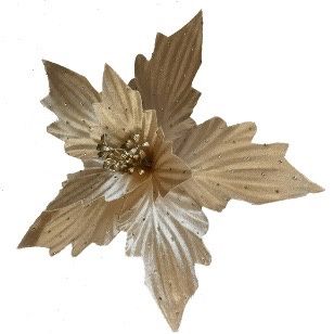 CLIP ON FABRIC PONSTTIA CHAMPGNE CRIMPLE