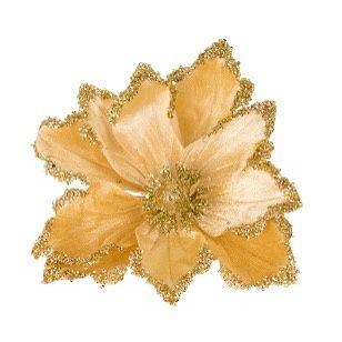 CLIP ON MAGNOLIA AMBER GOLD EDGE