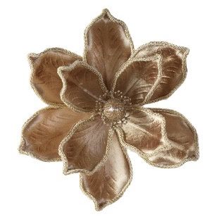 CLIP ON FABRIC MAGNOLIA TAN ROPE EDGE