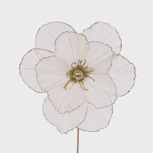 Sheer Ivory Camellia