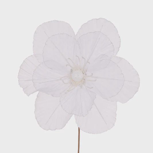 Sheer White Camellia