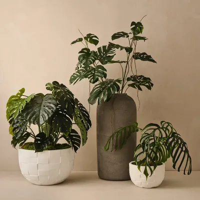 Pots &amp; Planters
