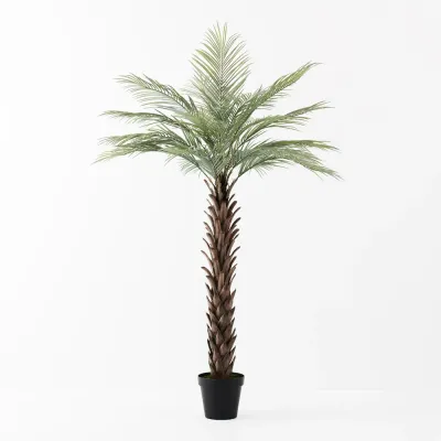 Artificial Plants