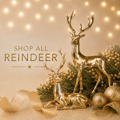 Reindeer