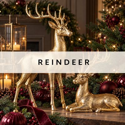 Reindeer