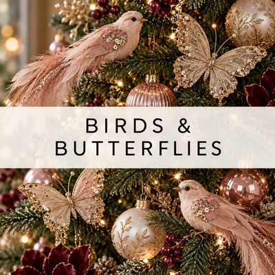 Birds &amp; Butterflies