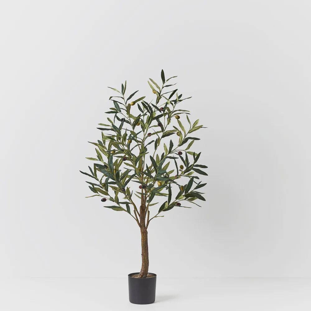 OLIVE TREE GREEN 91CM