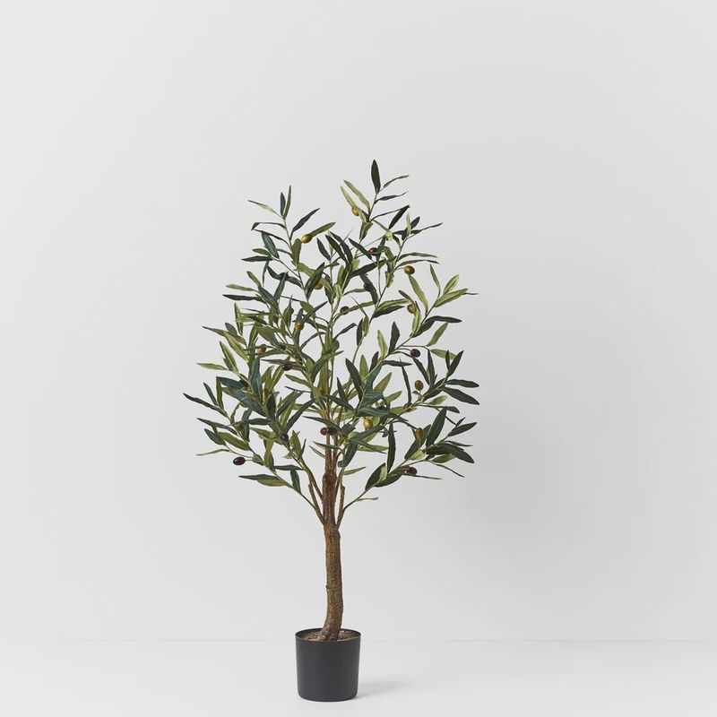 OLIVE TREE GREEN 91CM