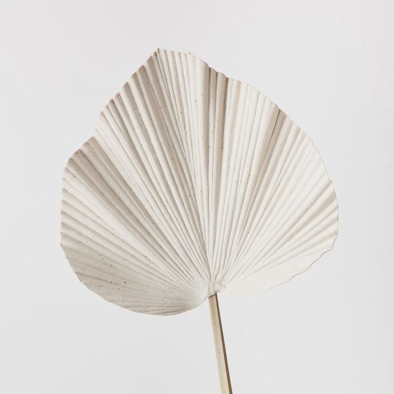 Palm Fan