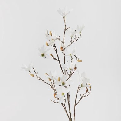 Magnolia Tree Spray	White	115cml