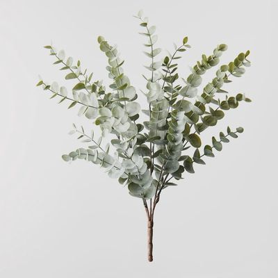 Eucalyptus Bush	Green Grey	56cml