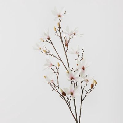 Magnolia Tree Spray	Cream Pink	115cml