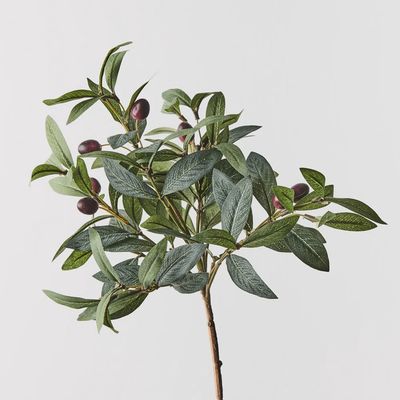 Olive Leaf Pick Grey Green 40cm