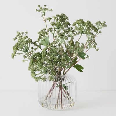 Angelica Mix in Vase Green 48cmh