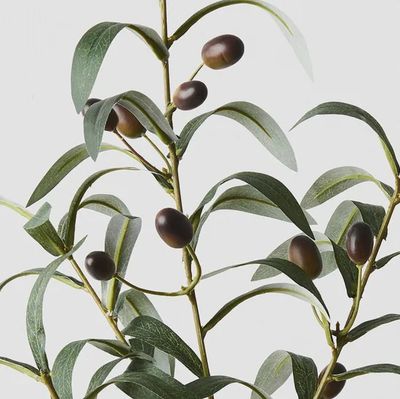 Olive Leaf Spray Green 72cml
