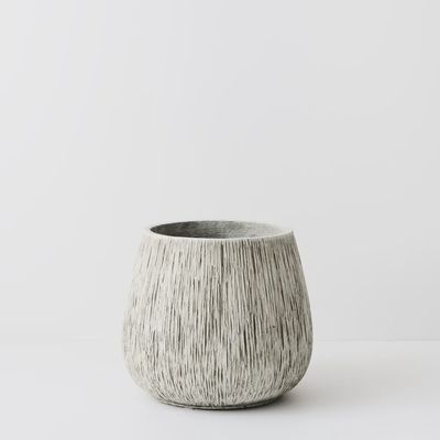 Pot Elias	Moss 36cmh x 42cmd