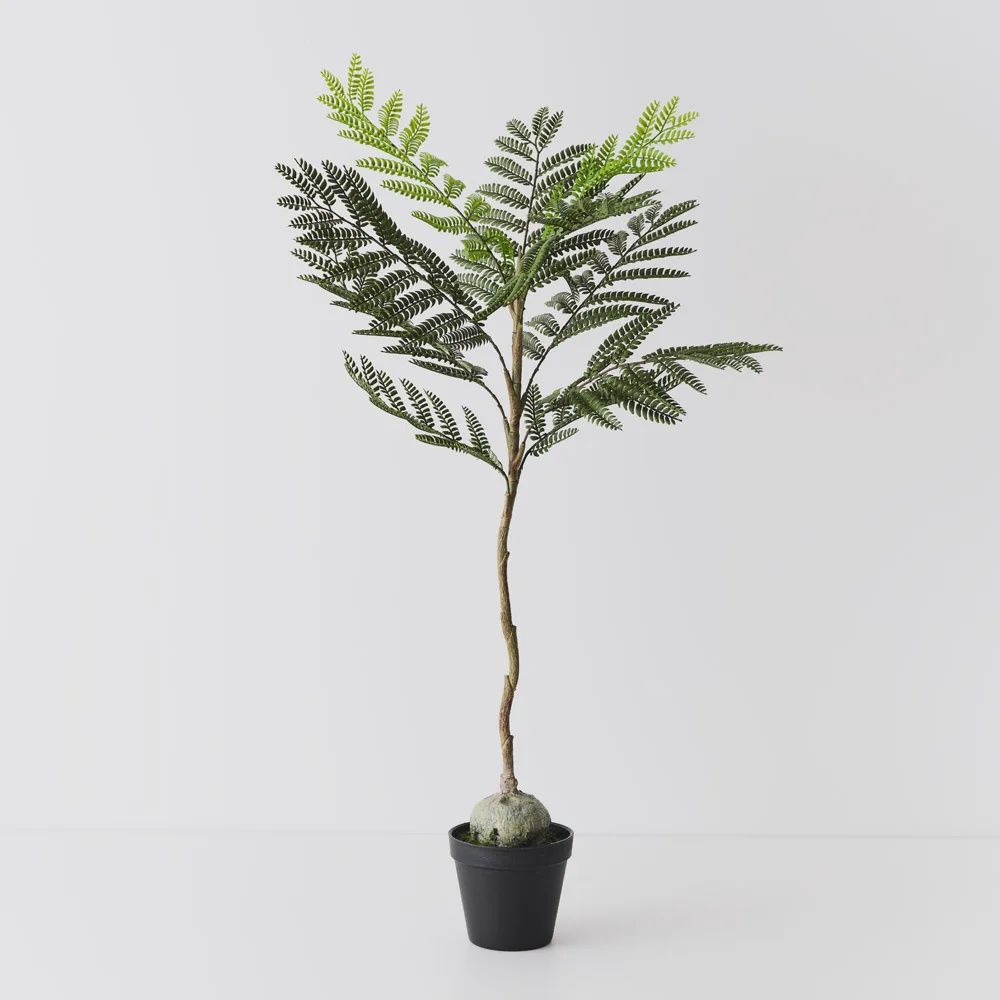 Jacaranda Plant green 76cm