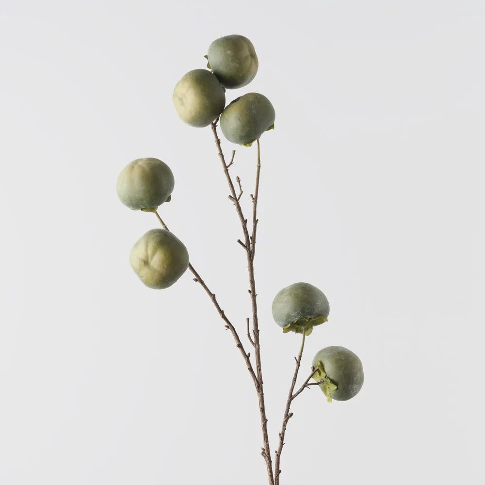 Persimmon Spray-Green 100cmh