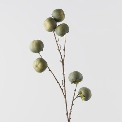 Persimmon Spray-Green 100cmh