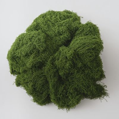 Moss Bag 500gm Green