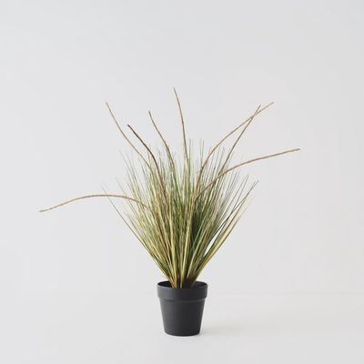 Grass Cattail Plant Natural 68cm