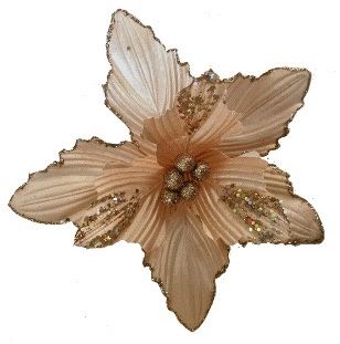 CLIP ON FBRIC PNSTTIA CORAL &amp; GLTER LEAF