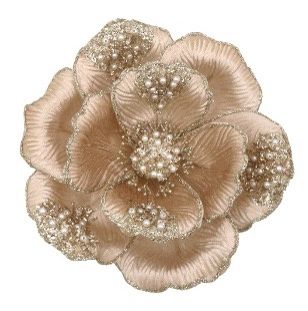 CLIP ON MAGNOLIA BEADED PETAL CHAMPAGNE