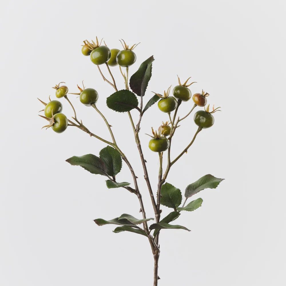 Rosehip Spray Green 66cm