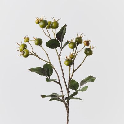 Rosehip Spray Green 66cm