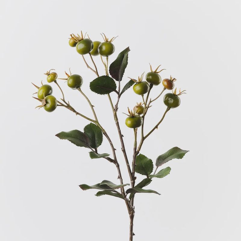 Rosehip Spray Green 66cm