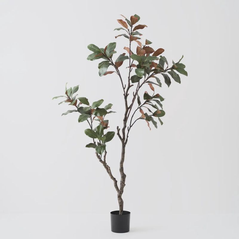 Magnolia Tree Green 210cm