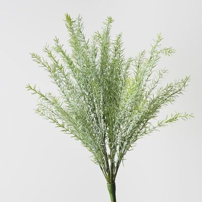 Rosemary Bush Grey Green 61cm