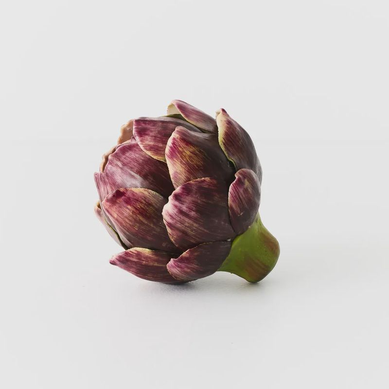 Vegetable Artichoke Eggplant 11cm