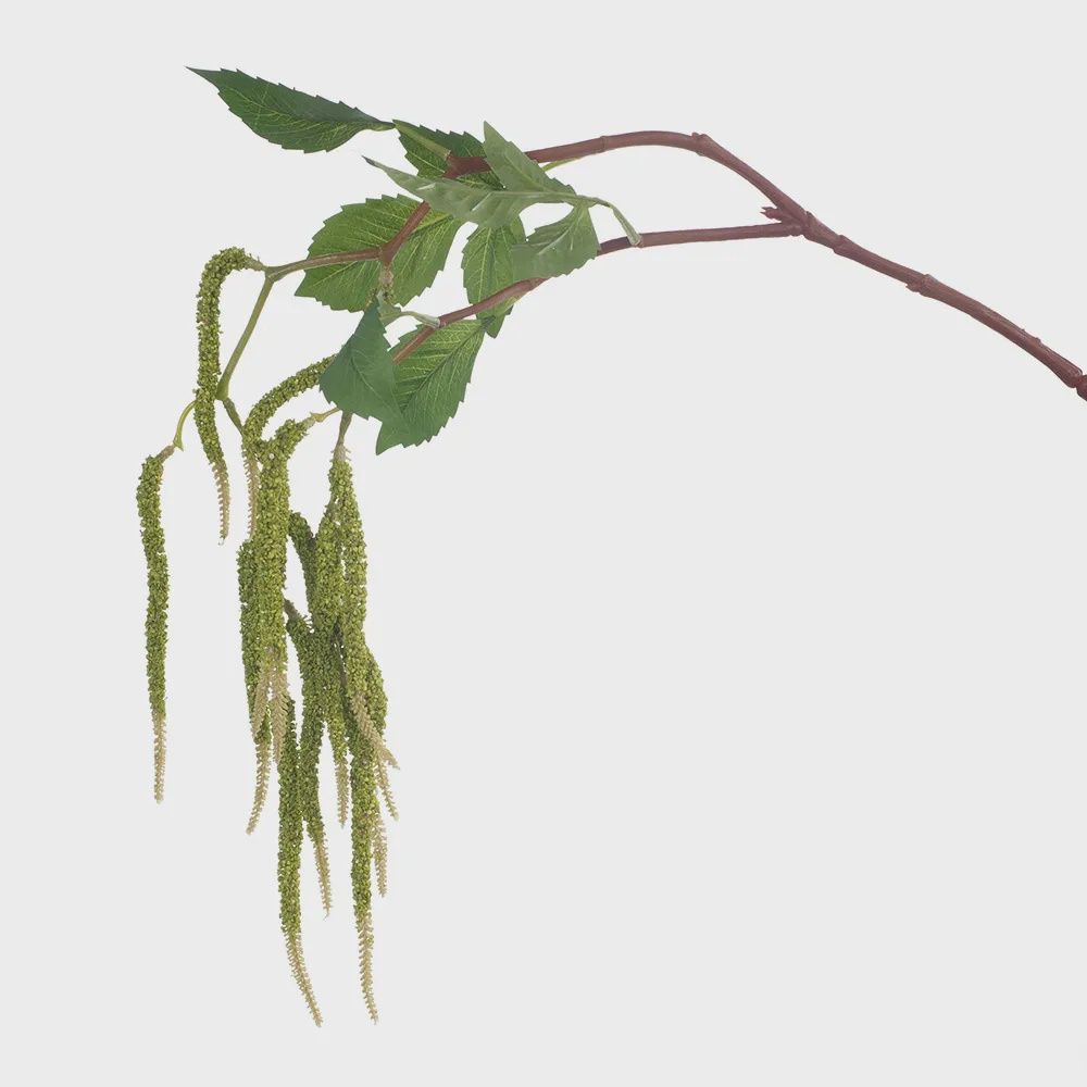 Amaranthus Spray Green 88cml