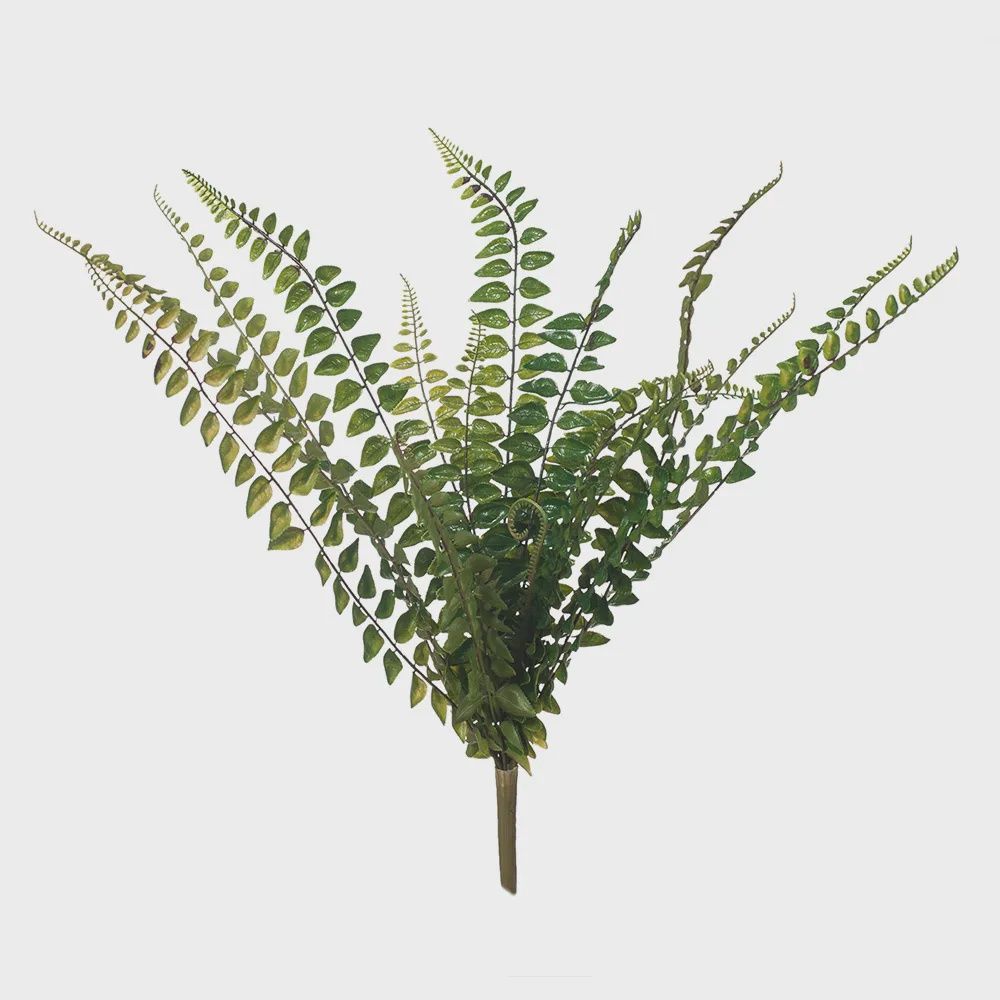 Fern Jewel Bush Green 45cml