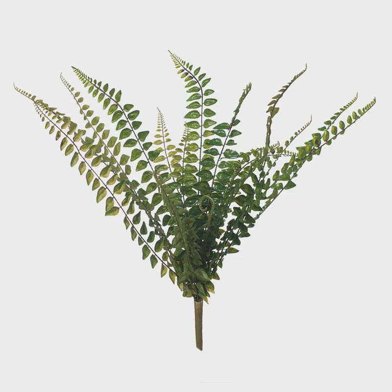 Fern Jewel Bush Green 45cml