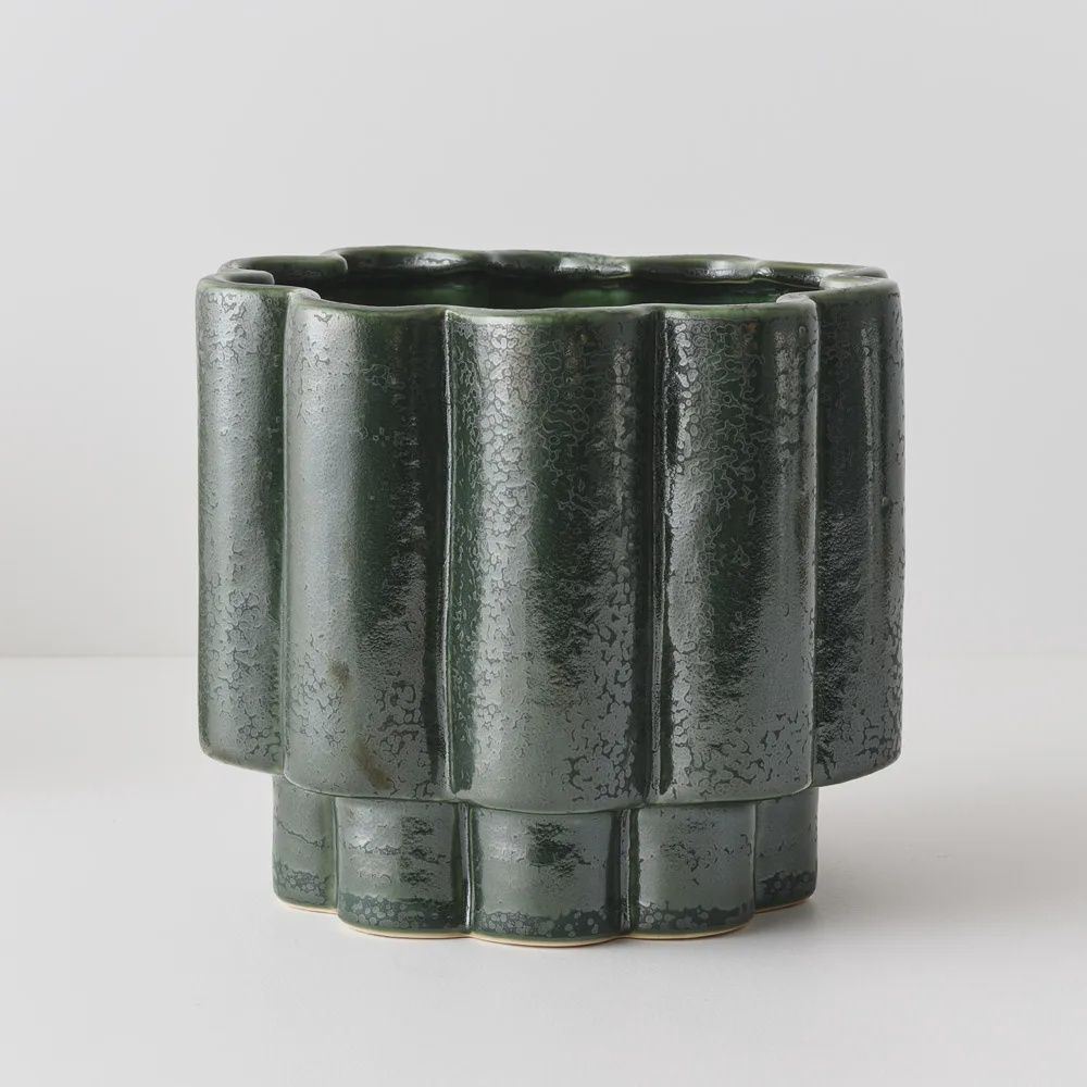 Gustel Pot Pine 21cmh x 23cmd