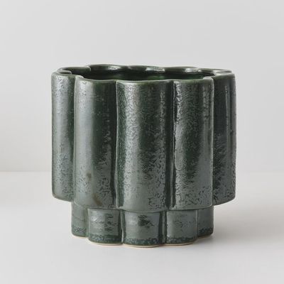 Gustel Pot Pine 21cmh x 23cmd