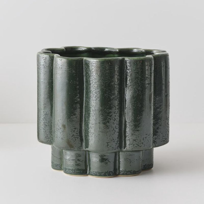 Gustel Pot Pine 21cmh x 23cmd