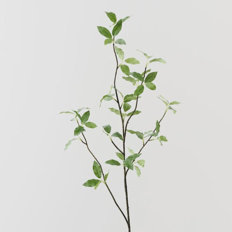 Pittosporum Leaf Spray Green 94cml