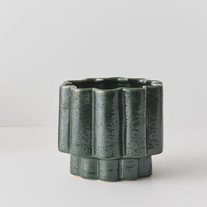 Gustel Pot Pine 16cmh x 18cmd