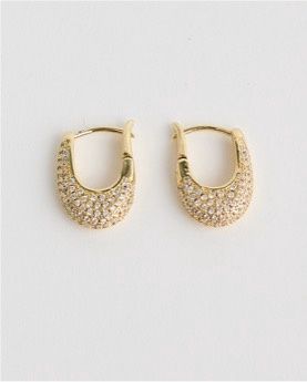 Echo Earrings Clear