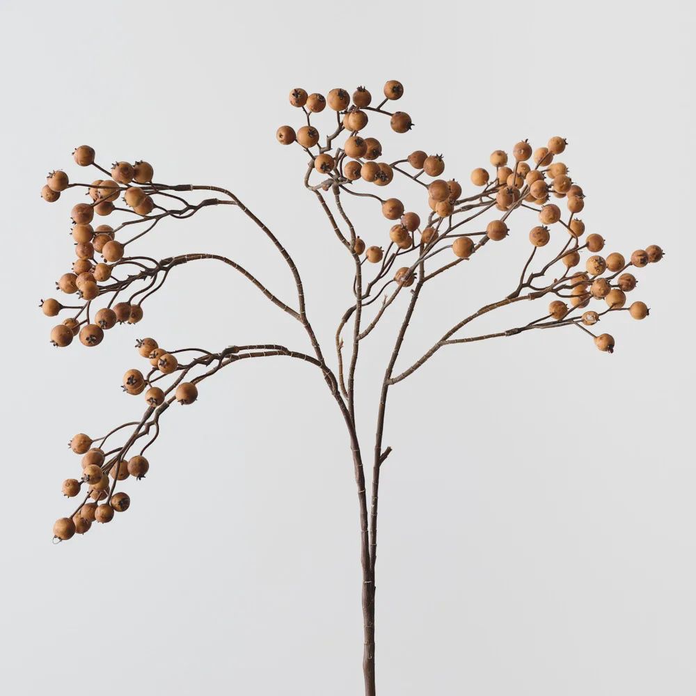 Berry Hanging Spray Toffee