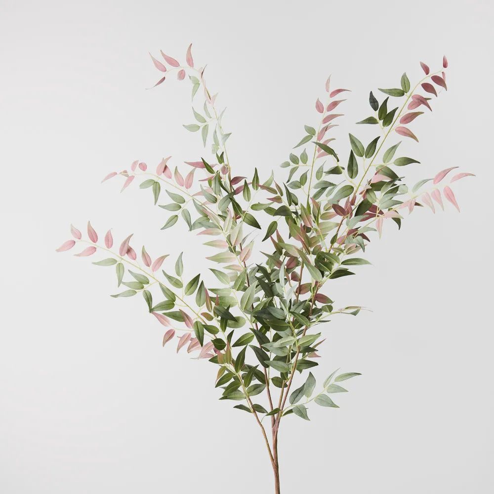 Ruscus Italian Bush Pink Grey